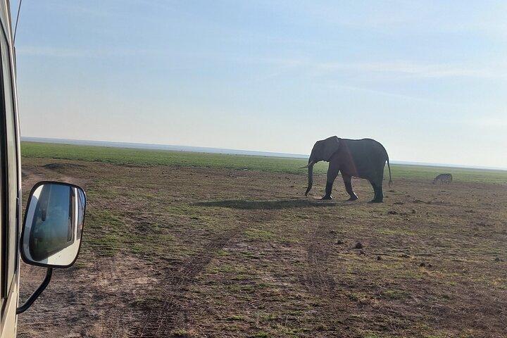 3 Days Amboseli national Park experience.