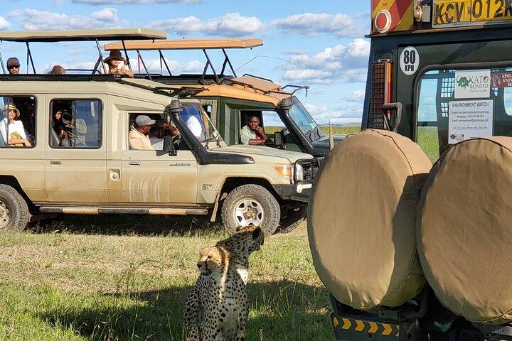11 Days Private Tour to Explore Amboseli and Samburu