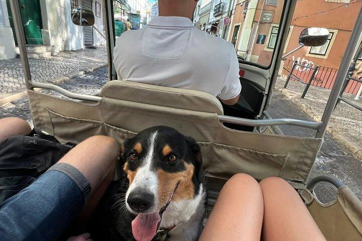 Experience Tuk-Tuk Lisbon Tour 1 - 3hours
