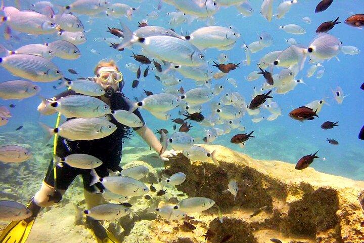Scuba Diving with a private guide, without certification