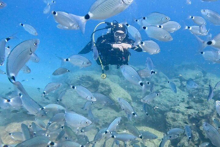 Scuba Diving with a private guide, without certification