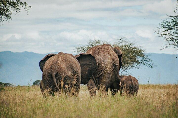 Cycle Kili to Ngorongoro Crater