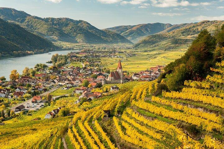 Full-Day Private Wachau Valley Wine Tour Experience from Vienna