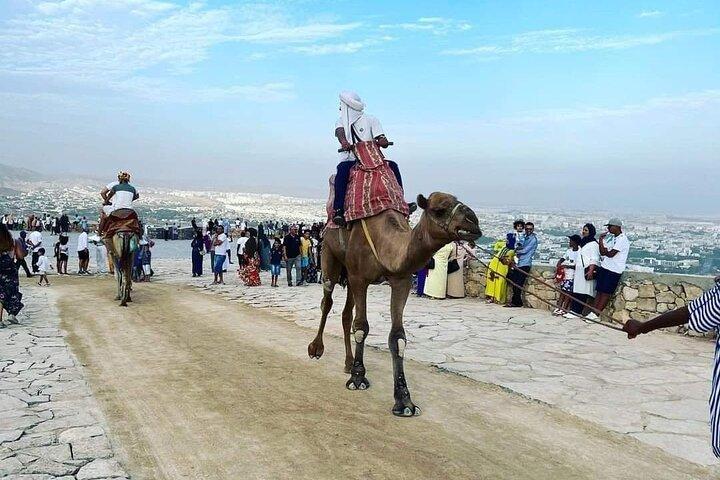 Agadir danialand cable car tickets & shuttle regular intervals
