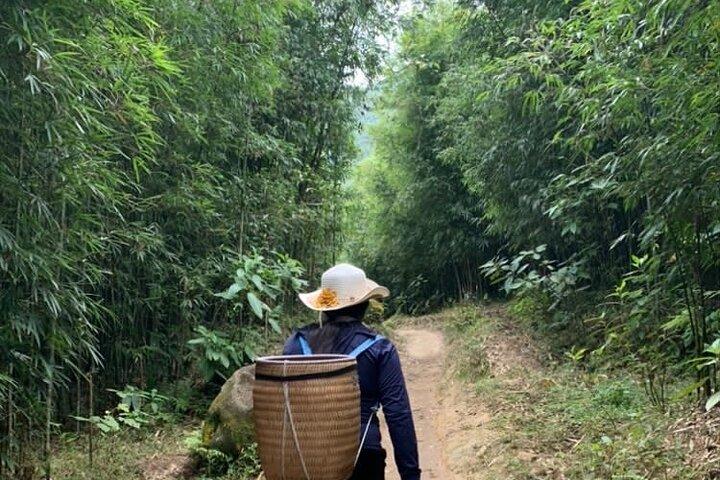 Half Day Private Sapa Trekking and Rural Village Tour in Lao Cai