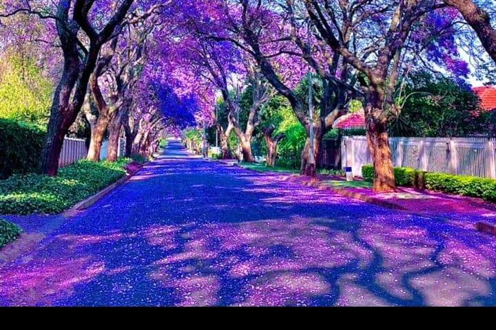 Pretoria tour, Half Day experience