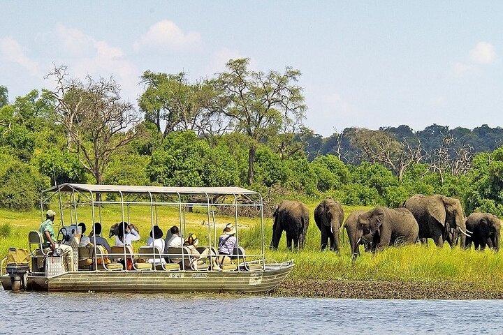 Chobe Day Trip From Victoria Falls