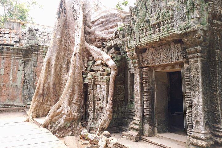 Private One Day Trip with Sunrise at Angkor Wat, Angkor Thom and Tomb Raider