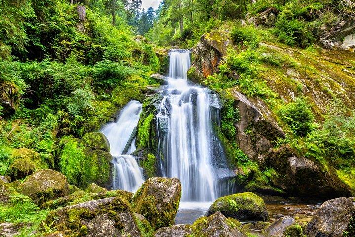 Trip from Zurich to Germany's Black Forest & Swiss Rhine Falls