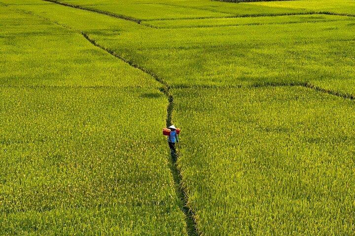 Vietnam’s largest natural freshwater lake - Ba Be Lake Adventure