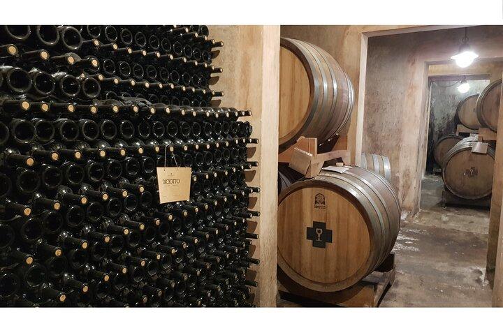 Full Day Tour to Gallipoli, Galatina, Coast, Beaches and Winery