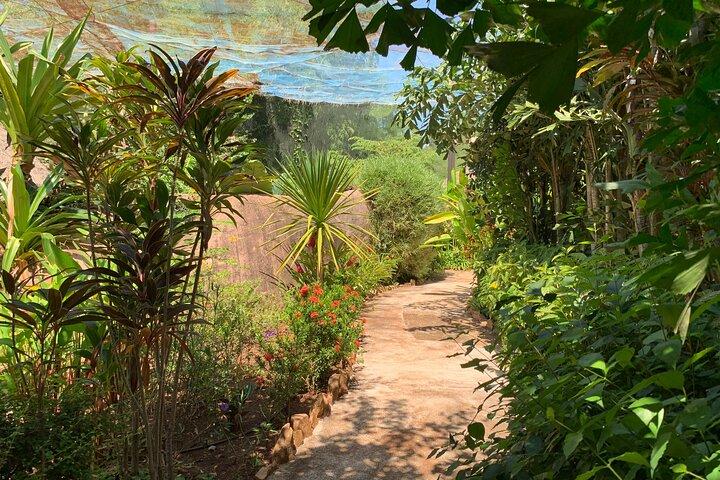 Life on the Lake & Nature's Beauty: Mechrey & Butterfly Paradise
