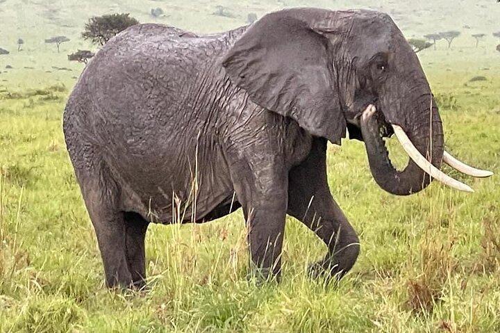 Amboseli national park over night