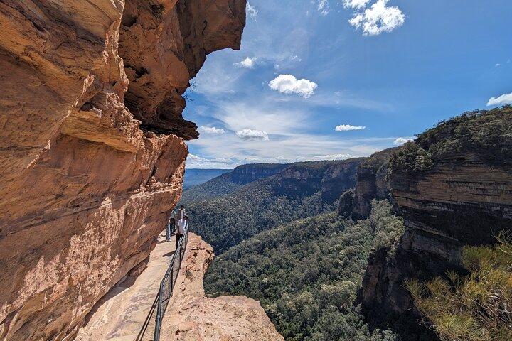 Blue Mountains Wilderness Wonder