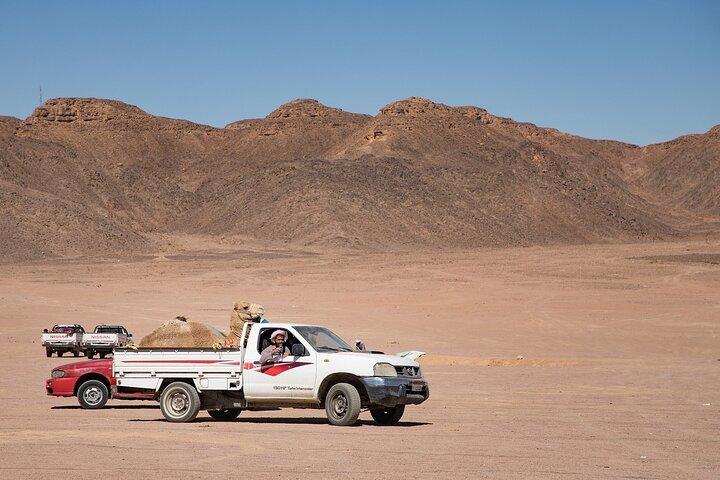 Mount Sinai Climb & St. Catherine's Monastery Tour from Sharm