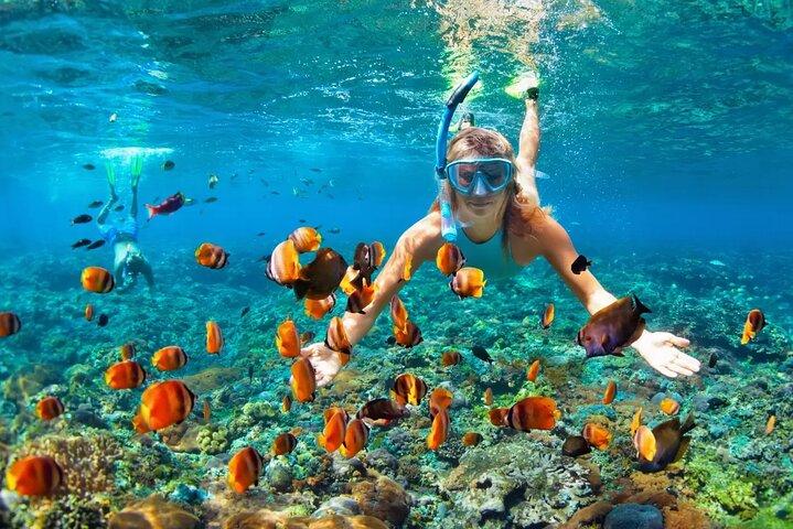 Snorkeling Activity in Aqaba with Lunch and Transportation (Boat)