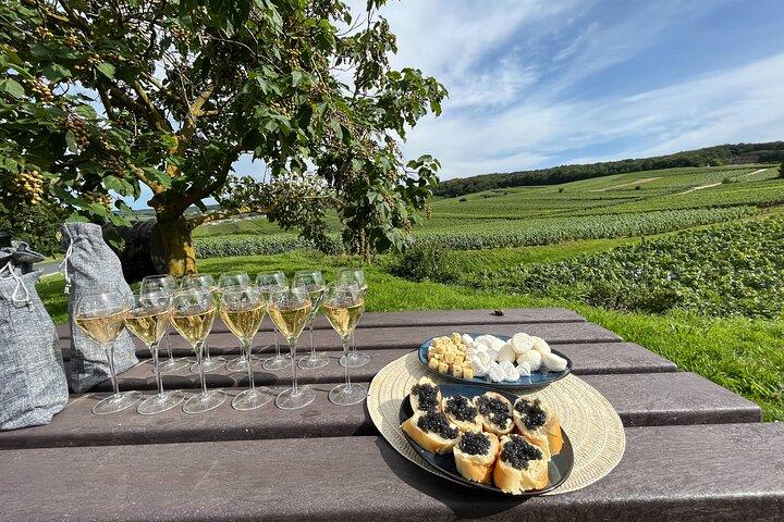 Paris: Champagne Day Trip with Tastings, Cathedral & Pickup