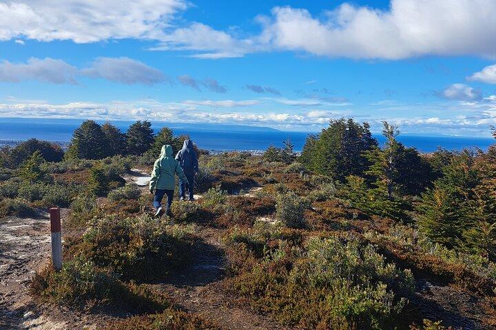 Private Half-Day Patagonian Forest Hike in Punta Arenas