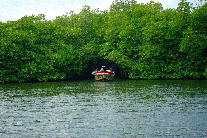Southern Sri Lanka Day Tour with Barberyn Island Visit