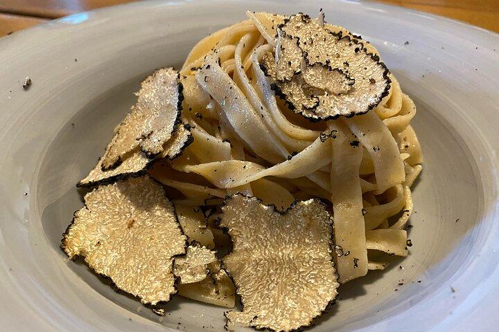Truffle hunting experience with lunch and Chianti wine tasting