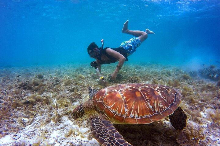 2 hours Private Snorkeling tour in Unawatuna