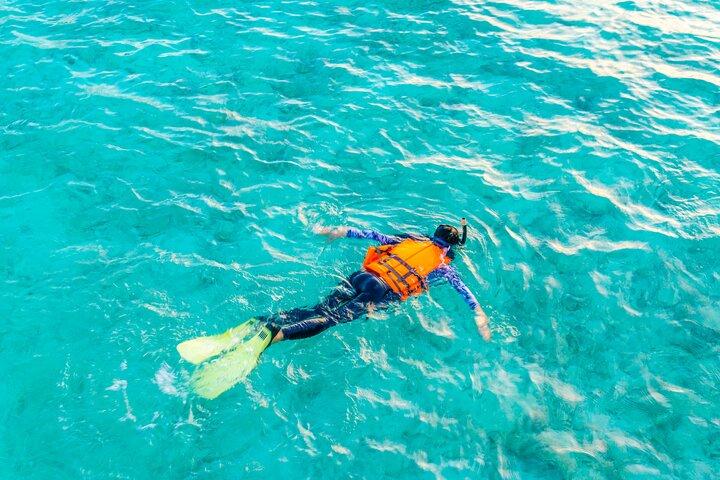 2 hours Private Snorkeling tour in Unawatuna