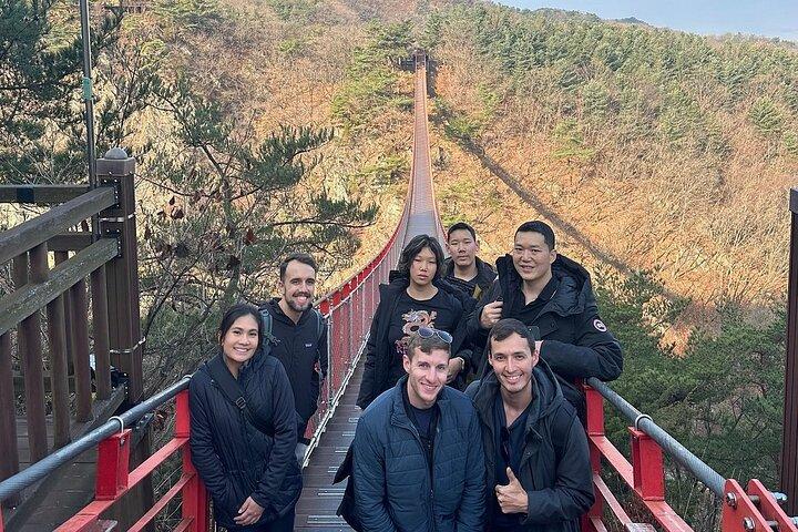 Seoul City Private Tour (Optional : Seoul, DMZ, Nami Island)
