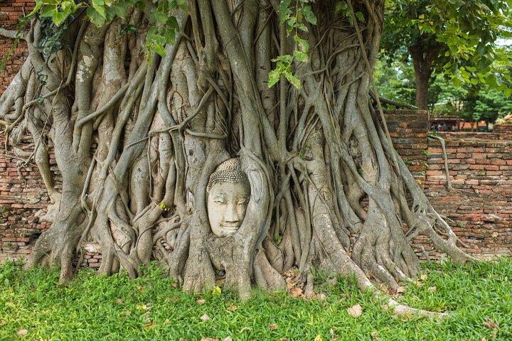 Damnoen Saduak Floating Market & Ayutthaya Tour from Bangkok