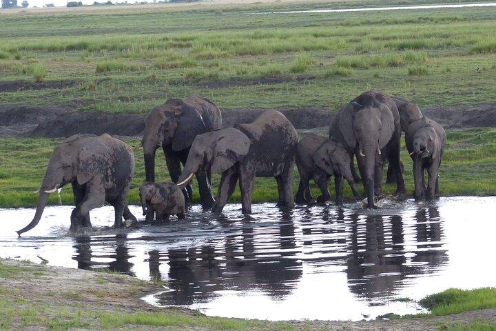 2 nights 3 days Overnight Mokoro Trail Okavango delta