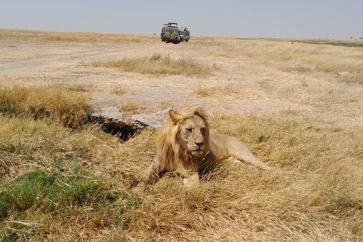 5 Days Private Tour in Tanzania Midrage Safari