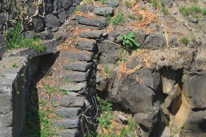 Full Day Tour in 4x4 Jeep to Porto Moniz and Fanal
