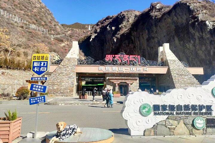 Private 2-day Tour to Wolong Panda Base and Mt. Siguniang