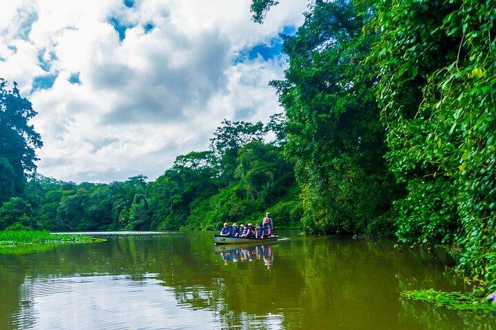 Tortuguero:Canoe tour, day hike, hill tour, night or spawning tour