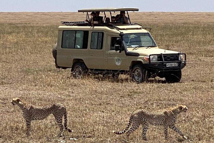 Four Day Lake Tour to Manyara and Serengeti and Ngorongoro Crater