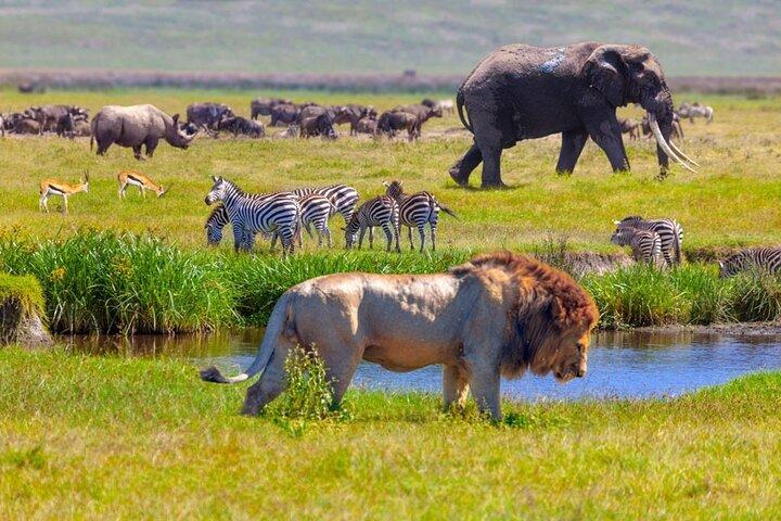 3 Days Safari Tour in Tarangire and Ngorongoro