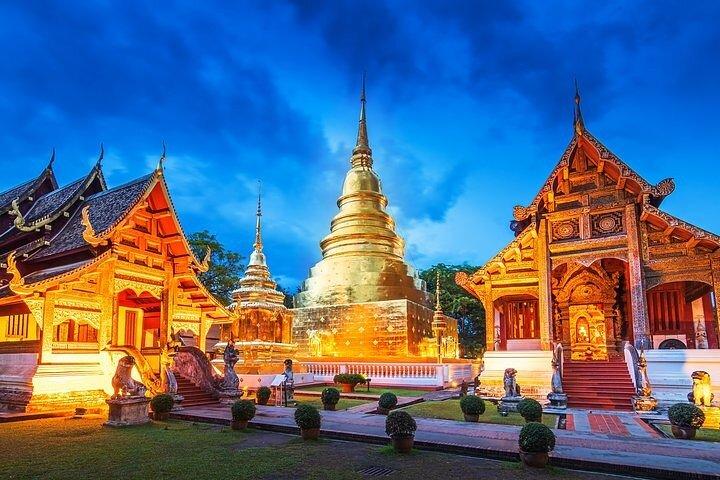 White Temple and Golden Triangle Day Trip from Chiang Mai