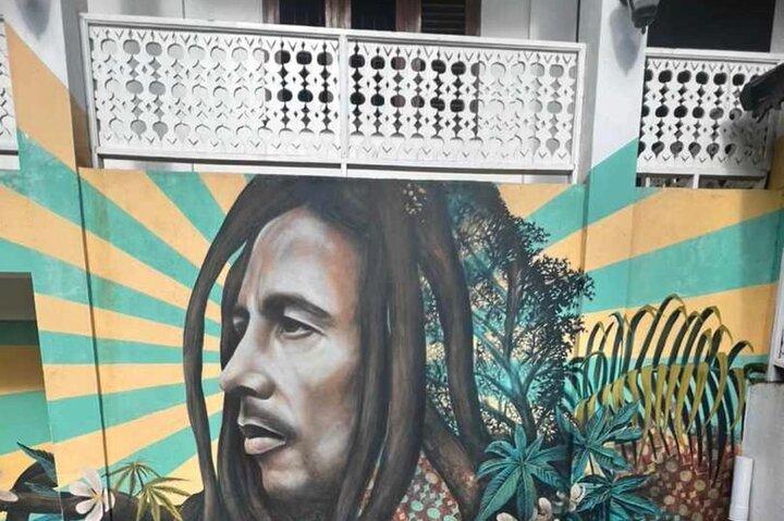 Bob Marley 9 miles Birth Home & Dunn’s River Falls Experience
