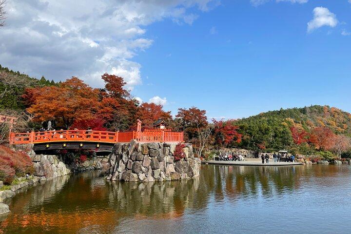 Osaka and Beyond Cycle Tour