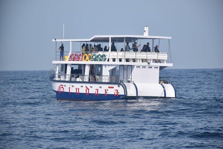 Whale Watching from Bentota with Pickup & Drop