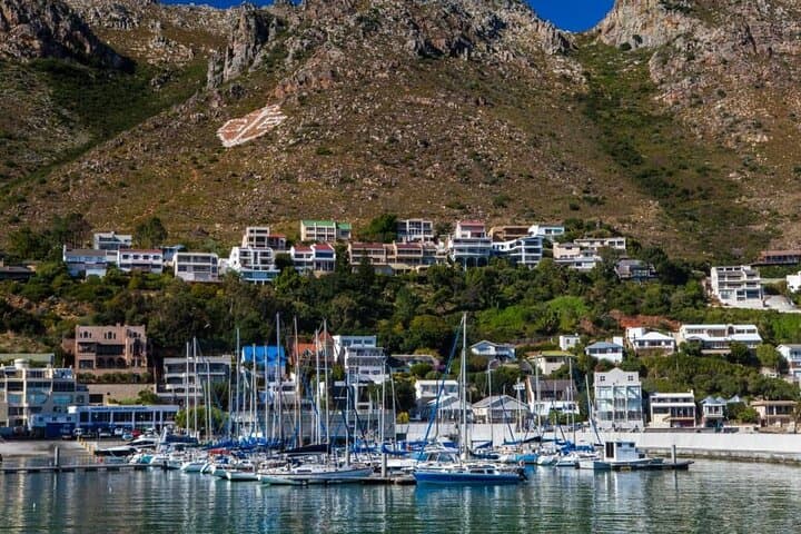 Full Day Private Tour in Cape Town. With free photo shoot.