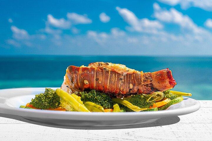 Puerto Morelos Reef Snorkeling Tour with Lunch & Hotel Pickup