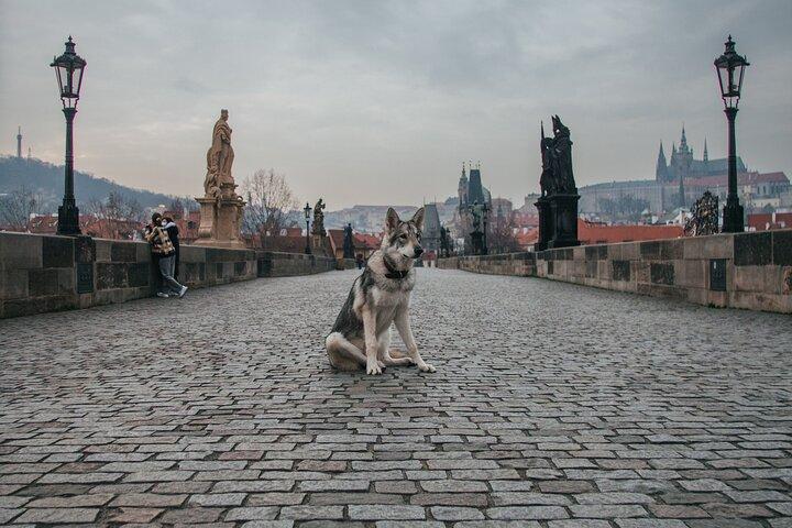 2 Days of Prague Exploration: Left and Right bank of Vltava River