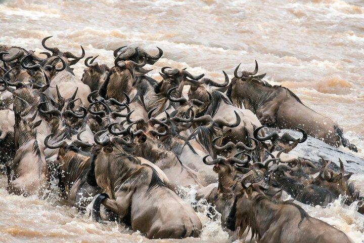 6 Days in the Wild – A Budget Safari Across Tanzania’s Icons