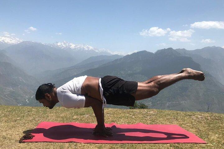 Group Yoga Class with Siddharth from Beginner to Advance