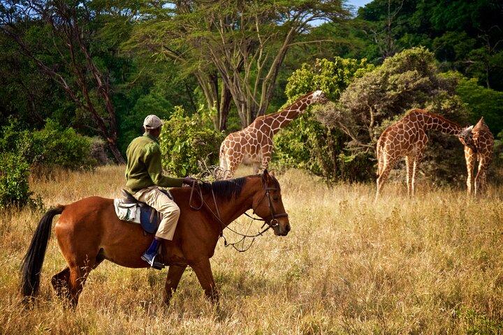 Private Tour in Arusha National Park