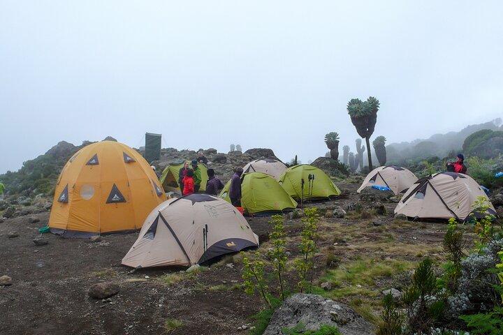 Day Tour Marangu Kilimanjaro