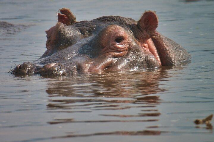 5 Days Tanzania Budget Camping Safari from Arusha