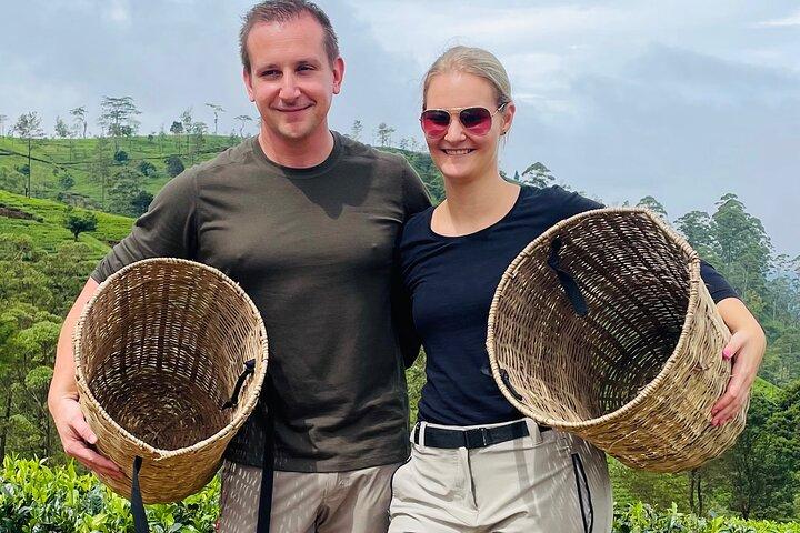 NuwaraEliya Tea Factory,Plantation & Water Falls Hike Tour by Car