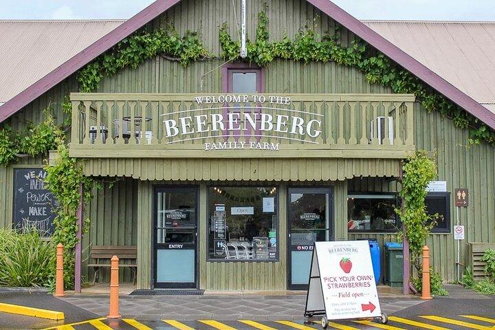 Hahndorf and Hills Wine and/or Gin Tour