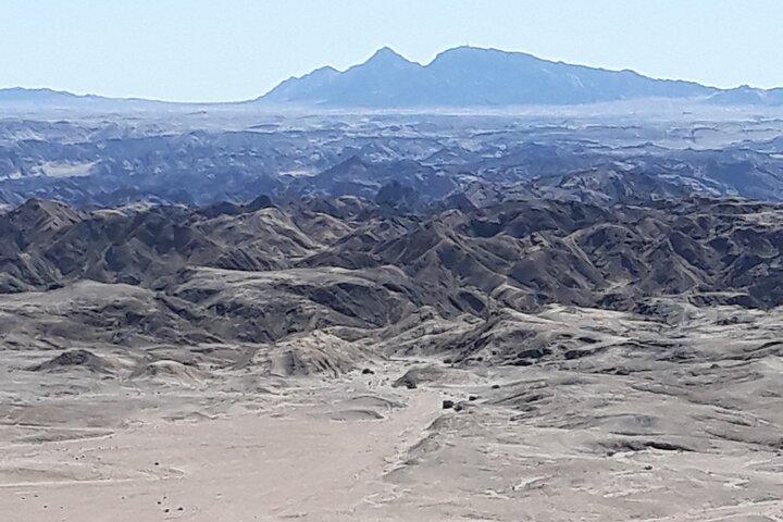 Cruise liner special: Swakopmund and Namib Desert Highlight Tour